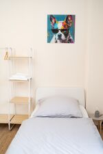 FerienOase-zentral - 6 große Einzelbetten - WLAN - Waschmaschine Bild 10