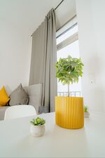 Apartments zentral in Koblenz in der Löhrstraße Picture 13
