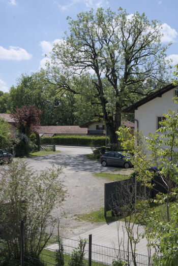 Ferienwohnung /Zimmer