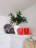 Gästezimmer in Rietheim Bild 6