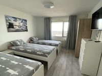 HomeRent in Duisburg und Umgebung Bild 11